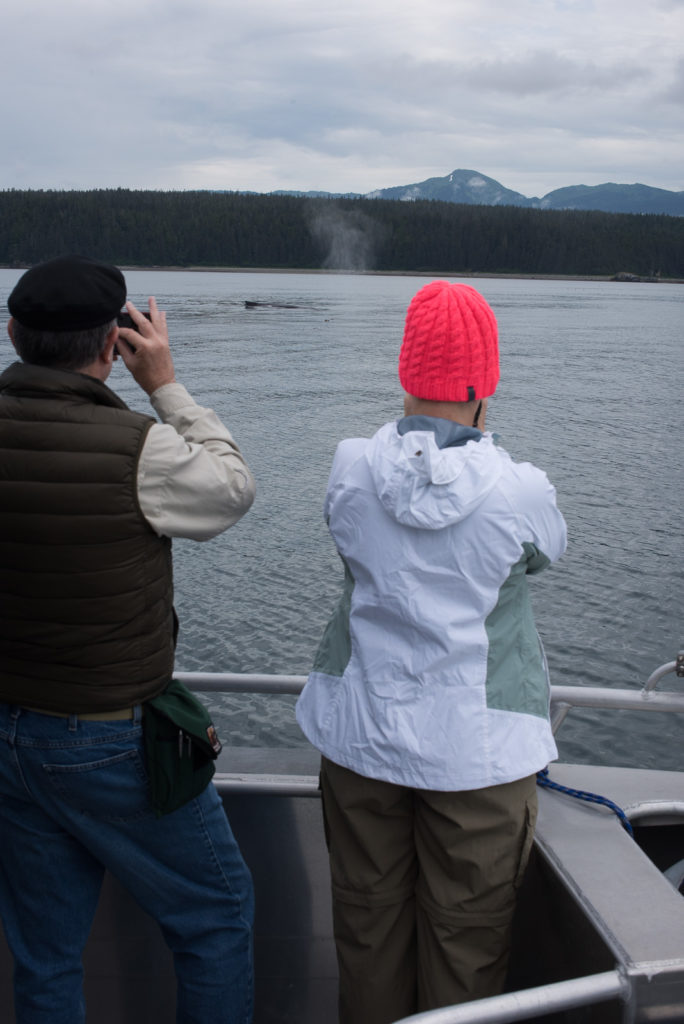 Hoonah Whale Tours, Jordan Savland, Hoonah, Alaska, Whale Tours, Humpback Whale